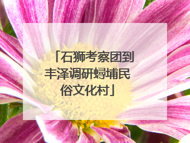 石狮考察团到丰泽调研蟳埔民俗文化村