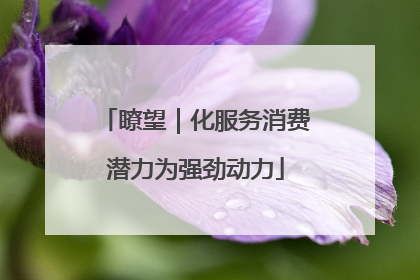 瞭望｜化服务消费潜力为强劲动力