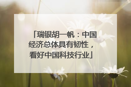 瑞银胡一帆：中国经济总体具有韧性，看好中国科技行业