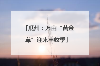 瓜州：万亩“黄金草”迎来丰收季