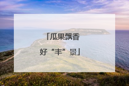 瓜果飘香 好“丰”景