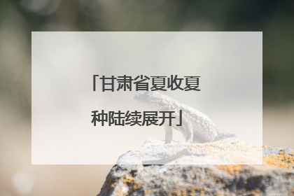甘肃省夏收夏种陆续展开