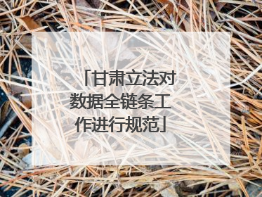 甘肃立法对数据全链条工作进行规范