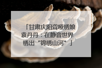 甘肃庆阳聋哑绣娘袁丹丹：在静音世界绣出“锦绣山河”