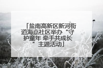 盐南高新区新河街道海嘉社区举办“守护童年 牵手共成长”主题活动