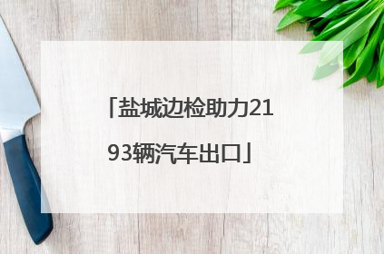 盐城边检助力2193辆汽车出口