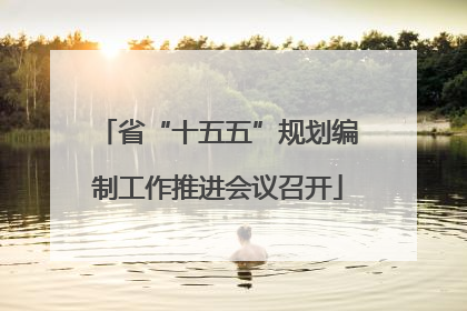 省“十五五”规划编制工作推进会议召开
