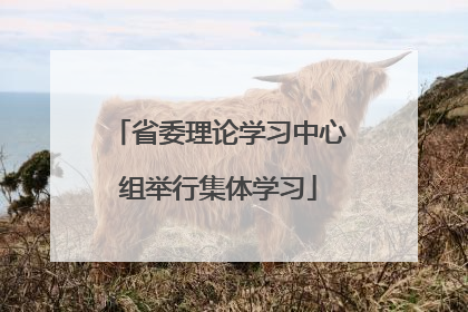 省委理论学习中心组举行集体学习