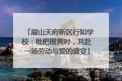 眉山天府新区行知学校：枇杷橙黄时，共赴一场劳动与爱的盛宴