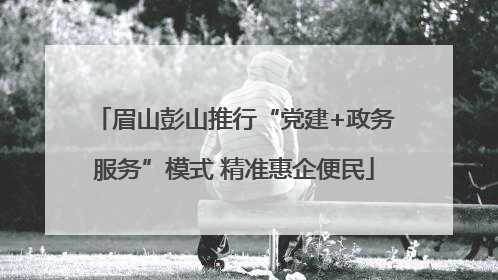 眉山彭山推行“党建+政务服务”模式 精准惠企便民