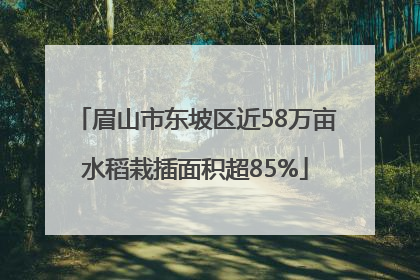 眉山市东坡区近58万亩水稻栽插面积超85%