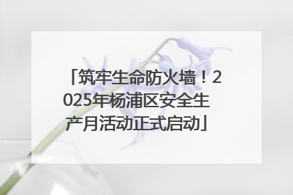 筑牢生命防火墙！2025年杨浦区安全生产月活动正式启动