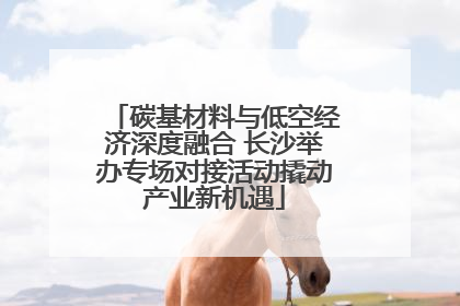 碳基材料与低空经济深度融合 长沙举办专场对接活动撬动产业新机遇