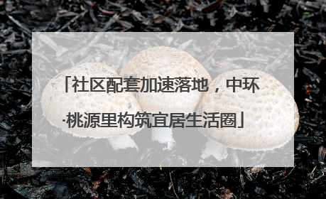社区配套加速落地，中环·桃源里构筑宜居生活圈