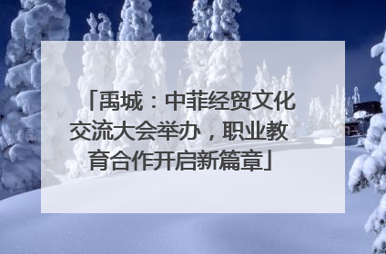 禹城：中菲经贸文化交流大会举办，职业教育合作开启新篇章