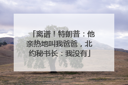 离谱！特朗普：他亲热地叫我爸爸，北约秘书长：我没有