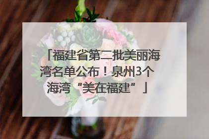 福建省第二批美丽海湾名单公布！泉州3个海湾“美在福建”