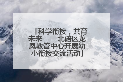 科学衔接，共育未来——北碚区龙凤教管中心开展幼小衔接交流活动