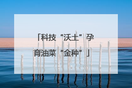 科技“沃土”孕育油菜“金种”