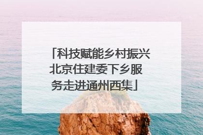 科技赋能乡村振兴 北京住建委下乡服务走进通州西集