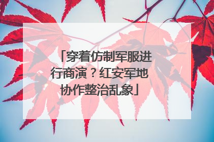穿着仿制军服进行商演？红安军地协作整治乱象