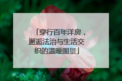 穿行百年洋房，邂逅法治与生活交织的温暖图景