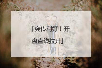 突传利好！开盘直线拉升