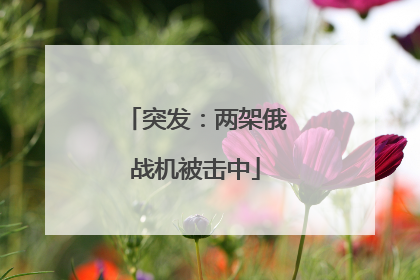 突发：两架俄战机被击中