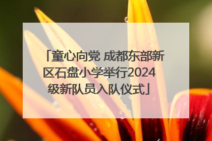 童心向党 成都东部新区石盘小学举行2024级新队员入队仪式