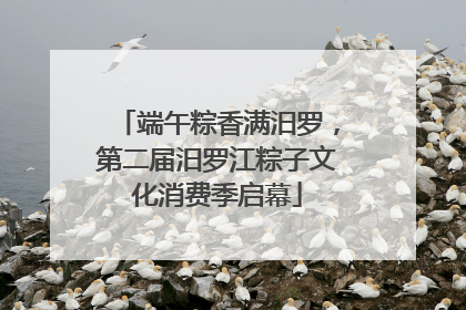 端午粽香满汨罗，第二届汨罗江粽子文化消费季启幕