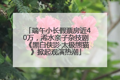 端午小长假票房近40万，浠水亲子杂技剧《黑白侠影·太极熊猫》掀起观演热潮