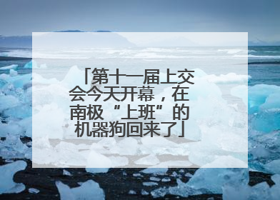 第十一届上交会今天开幕，在南极“上班”的机器狗回来了