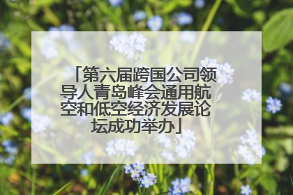 第六届跨国公司领导人青岛峰会通用航空和低空经济发展论坛成功举办