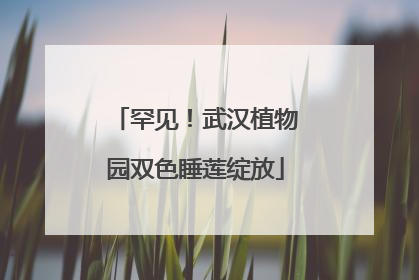 罕见！武汉植物园双色睡莲绽放