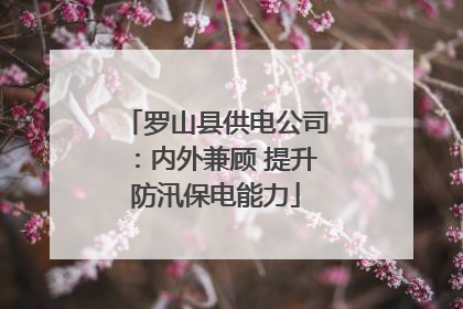 罗山县供电公司：内外兼顾 提升防汛保电能力