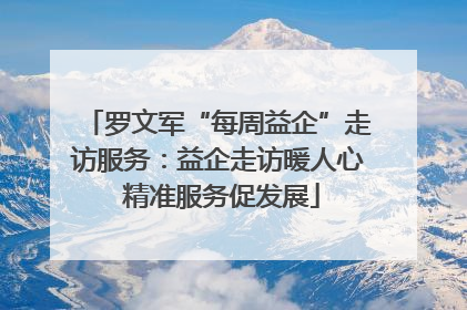 罗文军“每周益企”走访服务：益企走访暖人心 精准服务促发展