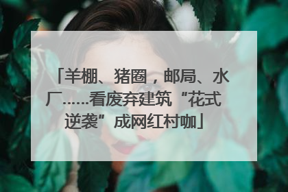 羊棚、猪圈，邮局、水厂……看废弃建筑“花式逆袭”成网红村咖