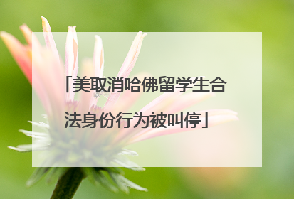 美取消哈佛留学生合法身份行为被叫停