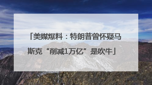 美媒爆料：特朗普曾怀疑马斯克“削减1万亿”是吹牛