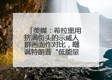 美媒：希拉里用挤满街头的示威人群画面作对比，嘲讽特朗普“低能量”阅兵式观众少