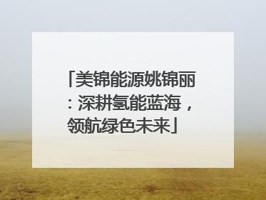 美锦能源姚锦丽：深耕氢能蓝海，领航绿色未来