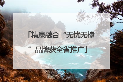 精康融合“无忧无棣”品牌获全省推广