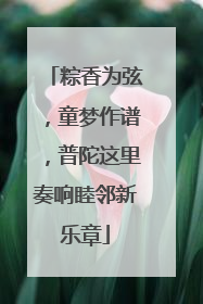 粽香为弦，童梦作谱，普陀这里奏响睦邻新乐章