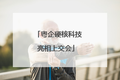 粤企硬核科技亮相上交会