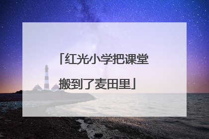 红光小学把课堂搬到了麦田里