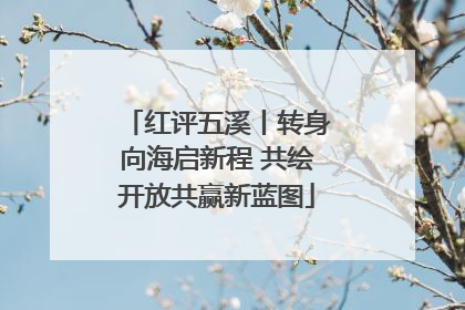 红评五溪丨转身向海启新程 共绘开放共赢新蓝图