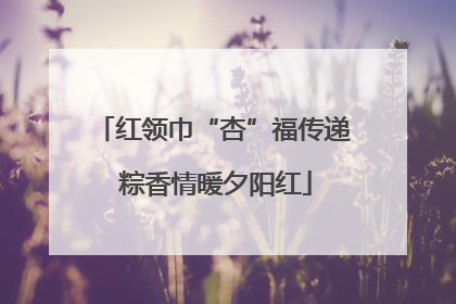红领巾“杏”福传递 粽香情暖夕阳红
