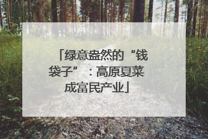 绿意盎然的“钱袋子”：高原夏菜成富民产业