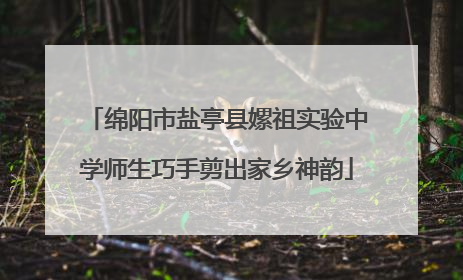 绵阳市盐亭县嫘祖实验中学师生巧手剪出家乡神韵