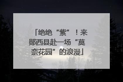 绝绝“紫”！来郧西县赴一场“莫奈花园”的浪漫